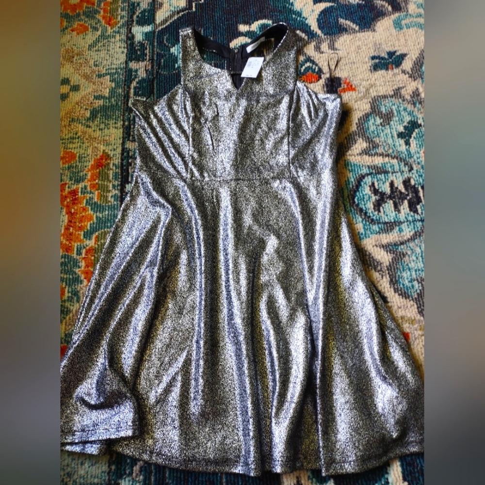 Size 16 dress